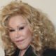 Jocelyn Wildenstein Net Worth